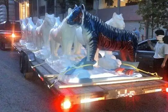A photo of the stolen tigers being taken away on a flatbed truck